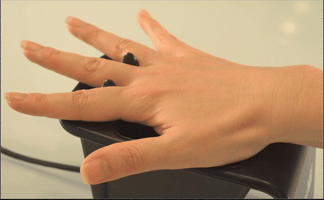 Before: legacy desktop biometric admissions